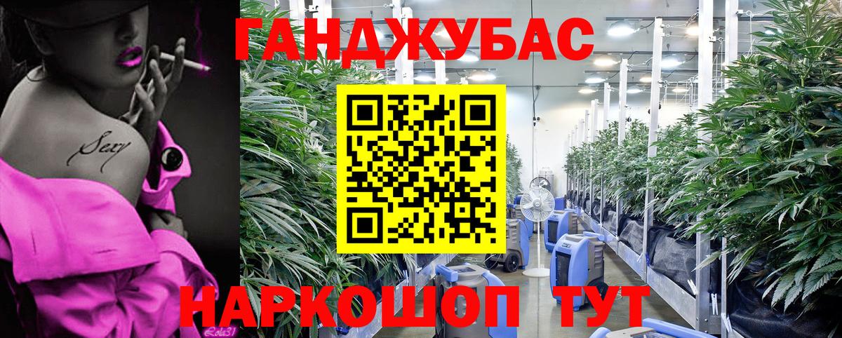 Конопля марихуана  Бошки Шишки тримм  Шишки марихуана SATIVA & INDICA  Вход с VPN  Нижнекамск 